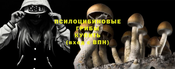 МДПВ Заводоуковск