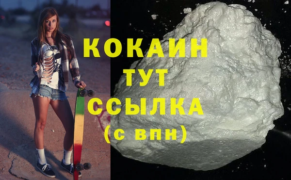 МДПВ Заводоуковск