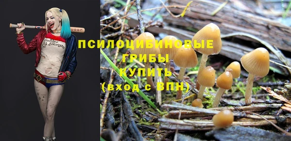 прущая мука Заволжск