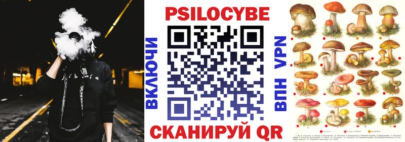 Купить  Нововоронеж  Галлюциногенные грибы Psilocybe 
